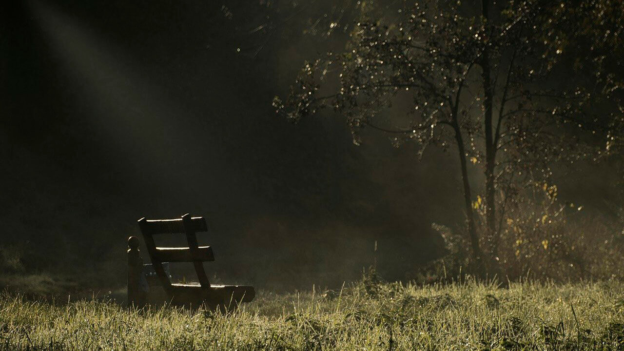 Lectura del Evangelio De Hoy 23 De Noviembre 2022 La Fe Católica